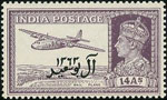 Oman Muskat 13
