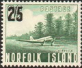 Norfolk 38